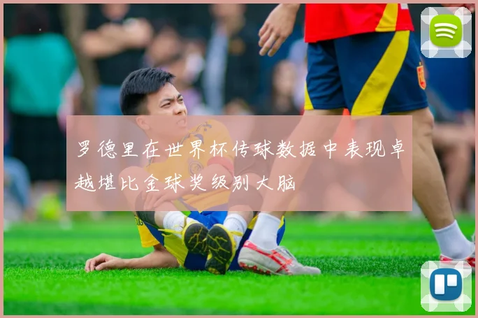 罗德里在世界杯传球数据中表现卓越堪比金球奖级别大脑